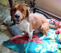 Barney B - Photo 2