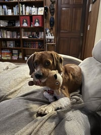 Barney B - Photo 3