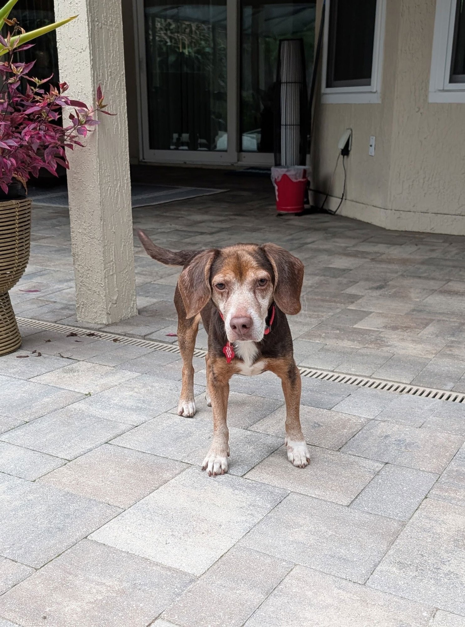 Herbie III - Photo 3