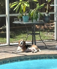 Granny Franny - Photo 2