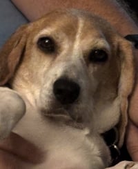 Granny Franny - Photo 6