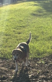 Granny Franny - Photo 5