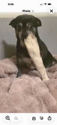 Betty - Photo 2