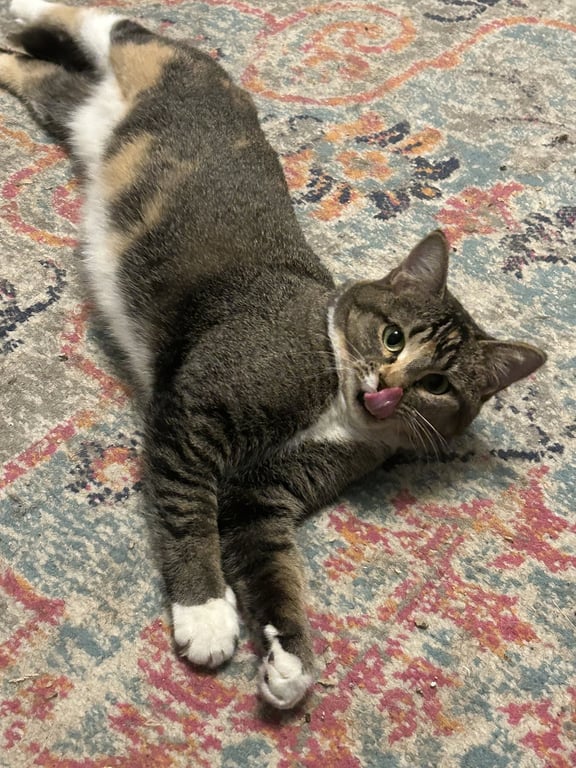 Buttercup aka Blinkie Image