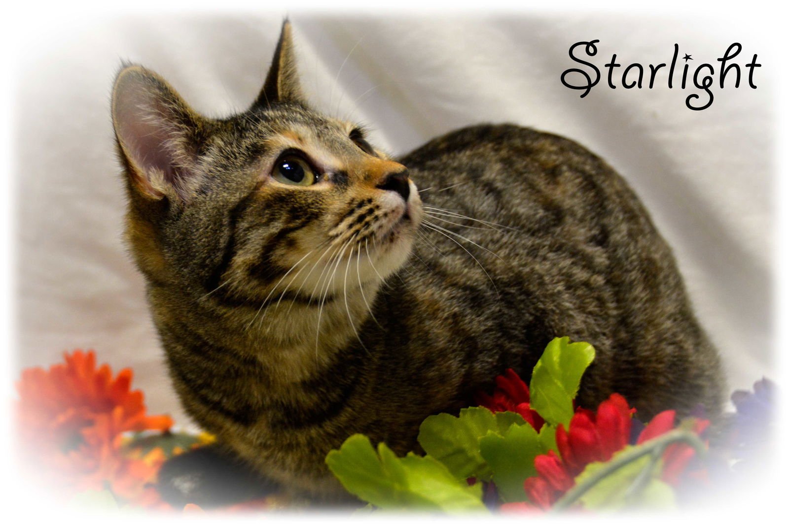 Spice 8.20.14 - Photo 3