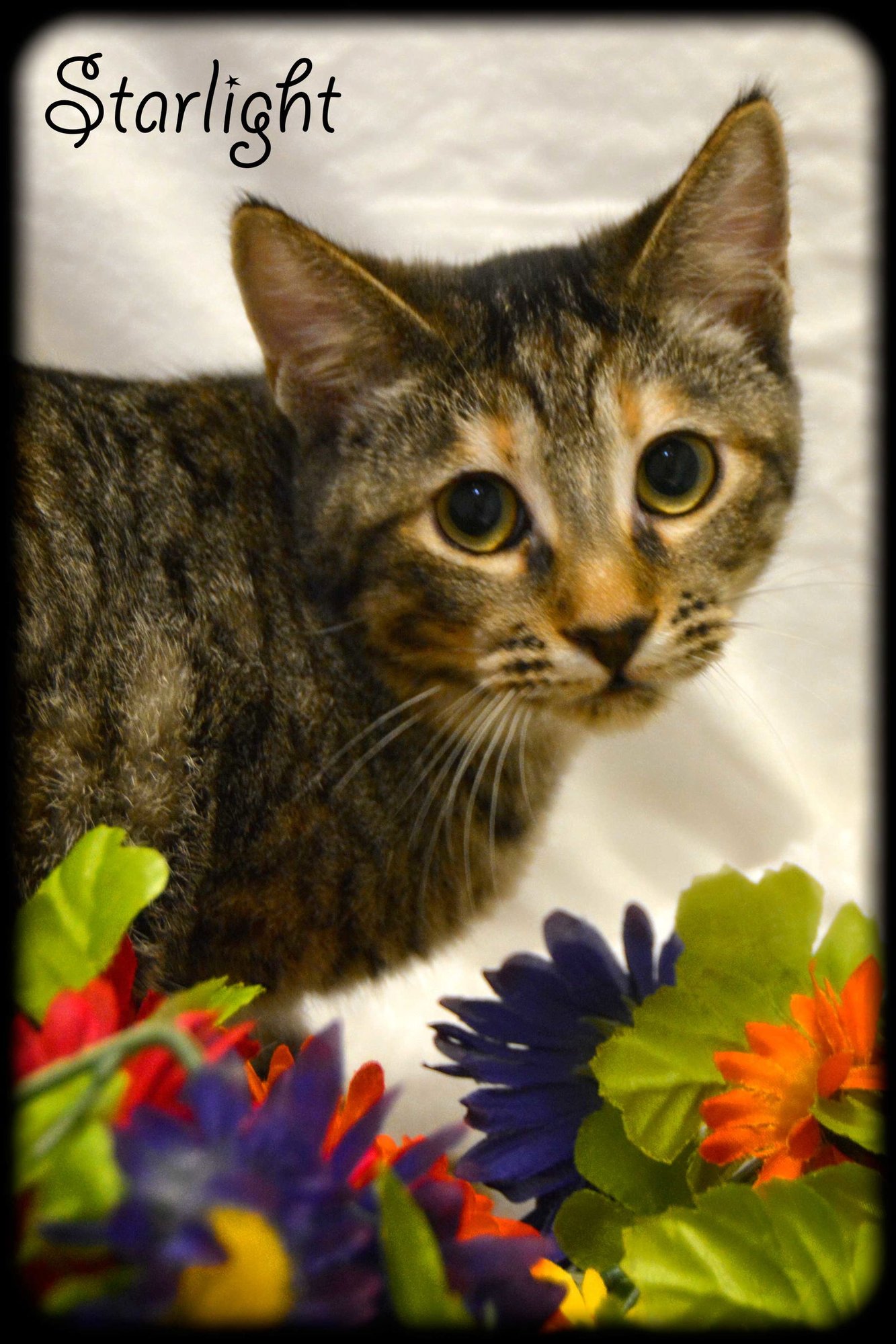 Spice 8.20.14 - Photo 4