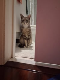Charlie - Photo 2