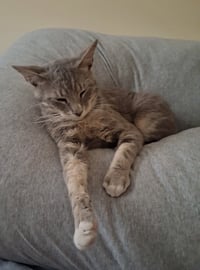 Charlie - Photo 3