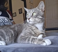 Charlie - Photo 5