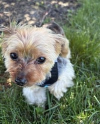 A Casey - Photo 3