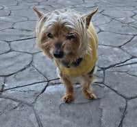 A Elliott - Photo 1