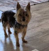 A Elliott - Photo 2