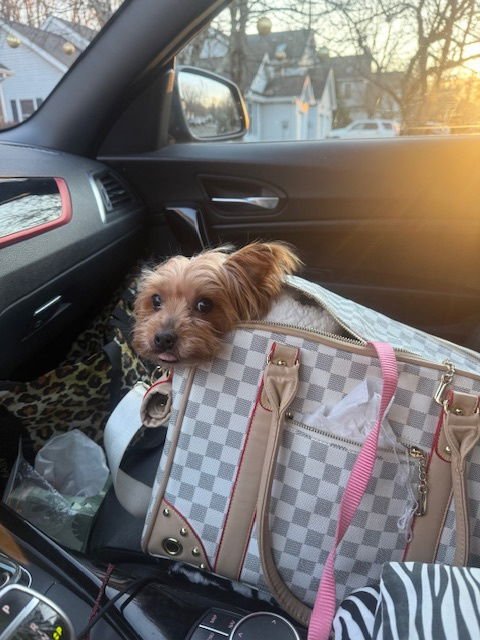 A Mezzaluna - Photo 3