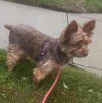 A Sandi - Photo 3