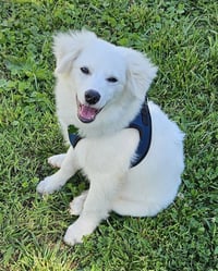Wyatt of MD - Photo 1