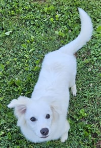 Wyatt of MD - Photo 3