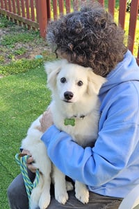 Wyatt of MD - Photo 4