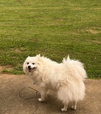 Manni of Union City Ga - Photo 2
