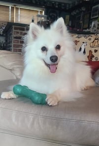 Meika of Bolingbrook IL - Photo 1