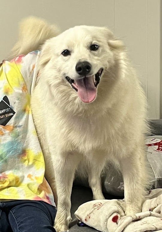 Teddy of Westernport Md - Photo 4