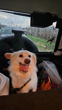Rocco of Cresent Pa - Photo 4