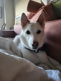 Casper of MD - Photo 2
