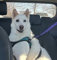 Casper of MD - Photo 1