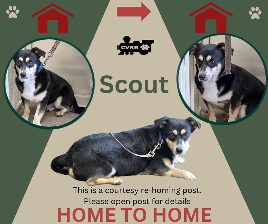 Scout *Home 2 Home* Image