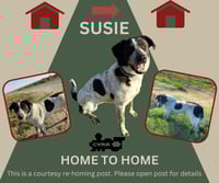 *Susie* HOME TO HOME - Photo 1