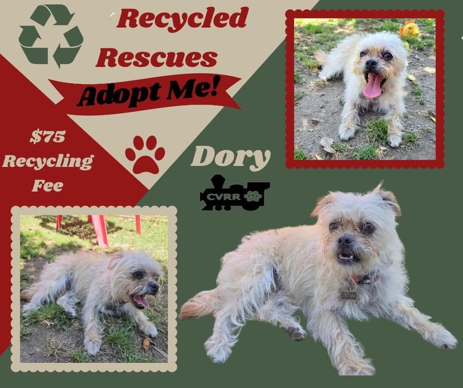 Dory (Recycle) Image