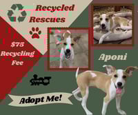 Aponi (Recycle) - Photo 1