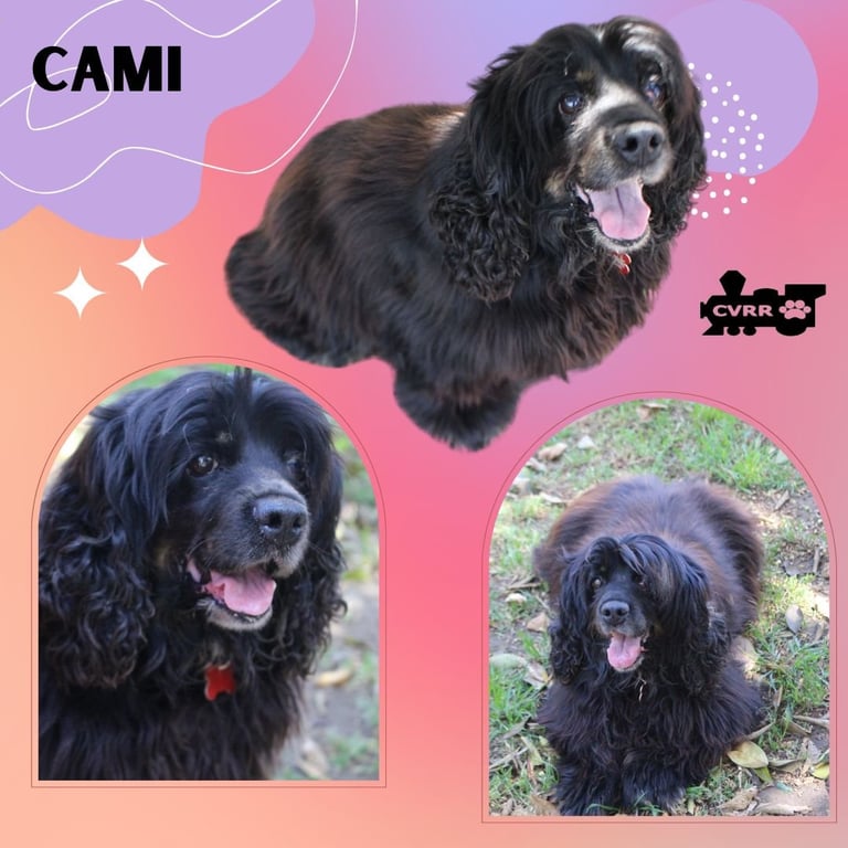 Cami (Ritzy) Image