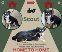 Scout (Home 2 Home) - Photo 1