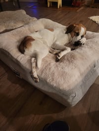 Lando (Recycle) - Photo 4
