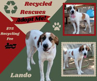 Lando (Recycle) - Photo 1
