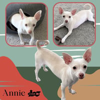Annie - Photo 1