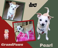 Pearl (GrandPaws) - Photo 1