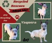 Vaquera  (Recycle) - Photo 1