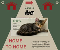 Lewis *Home 2 Home* - Photo 1