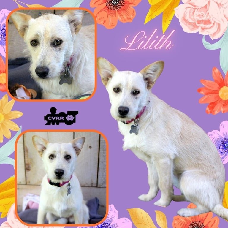 Lilith Image
