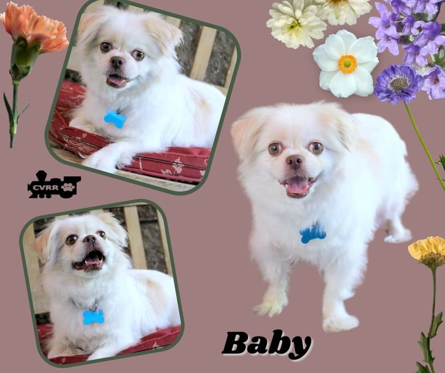 Baby (Ritzy) Image