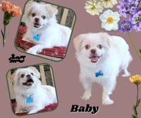 Baby (Ritzy) - Photo 1