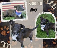 Keeno - Photo 1