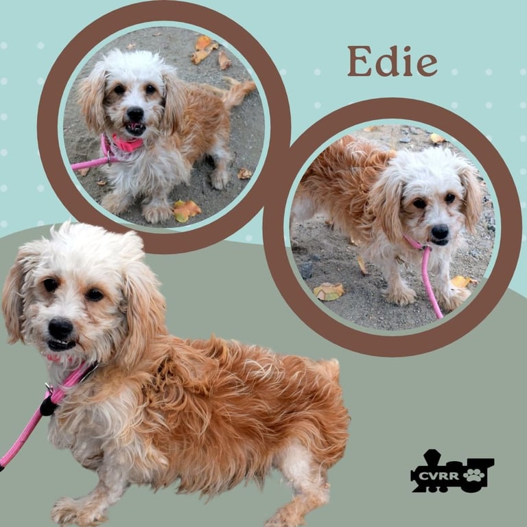 Edie (Ritzy) Image