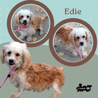 Edie (Ritzy) - Photo 1