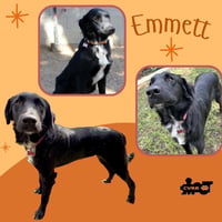 Emmett - Photo 1