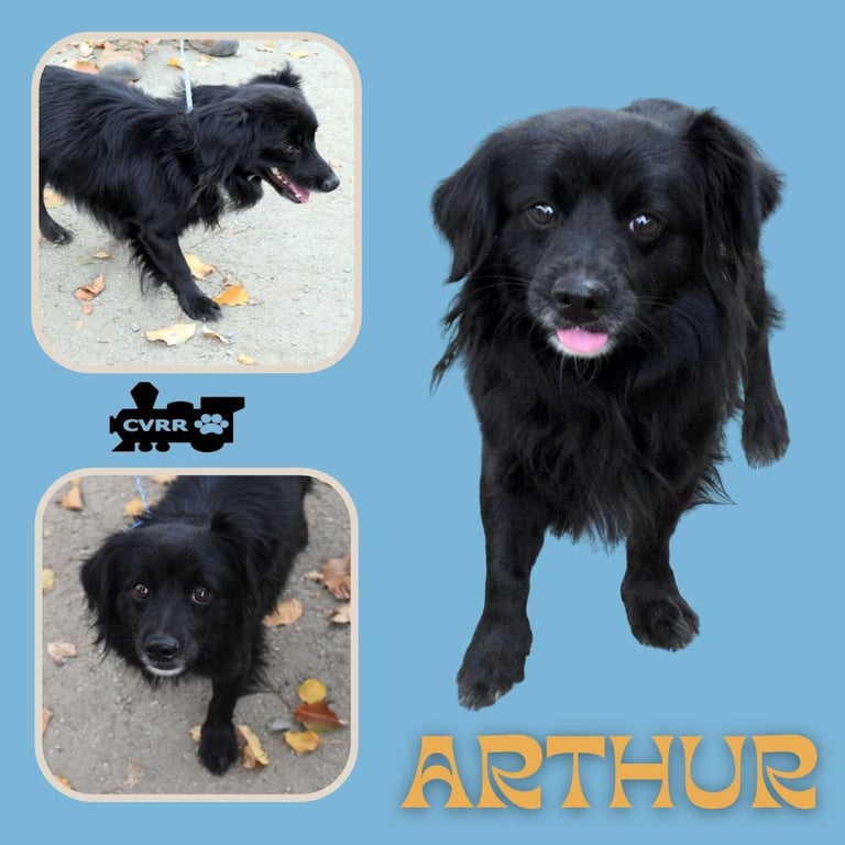 Arthur Image