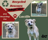 Lucille (Recycle) - Photo 1