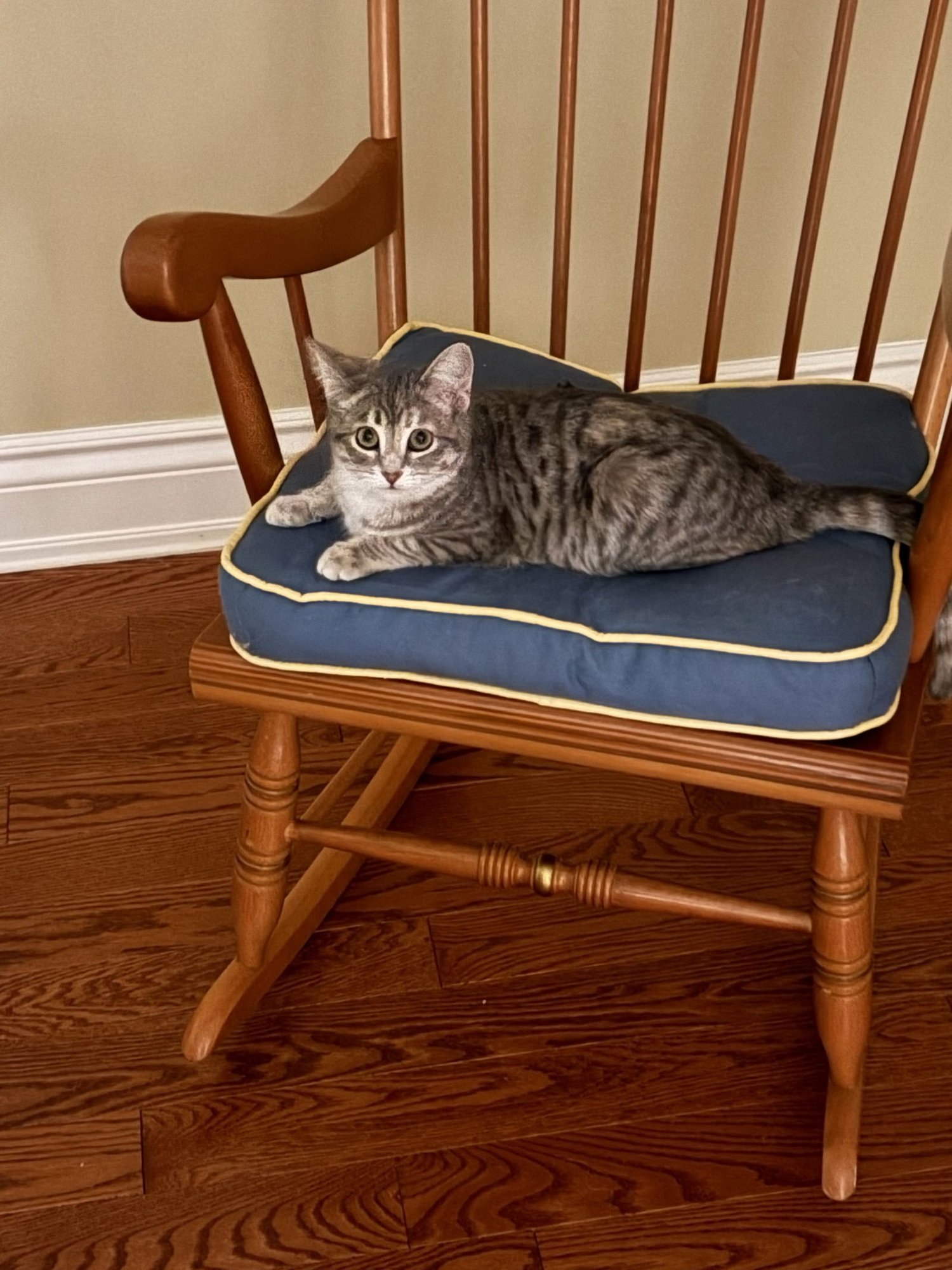 COMING SOON - Mayah - Photo 3