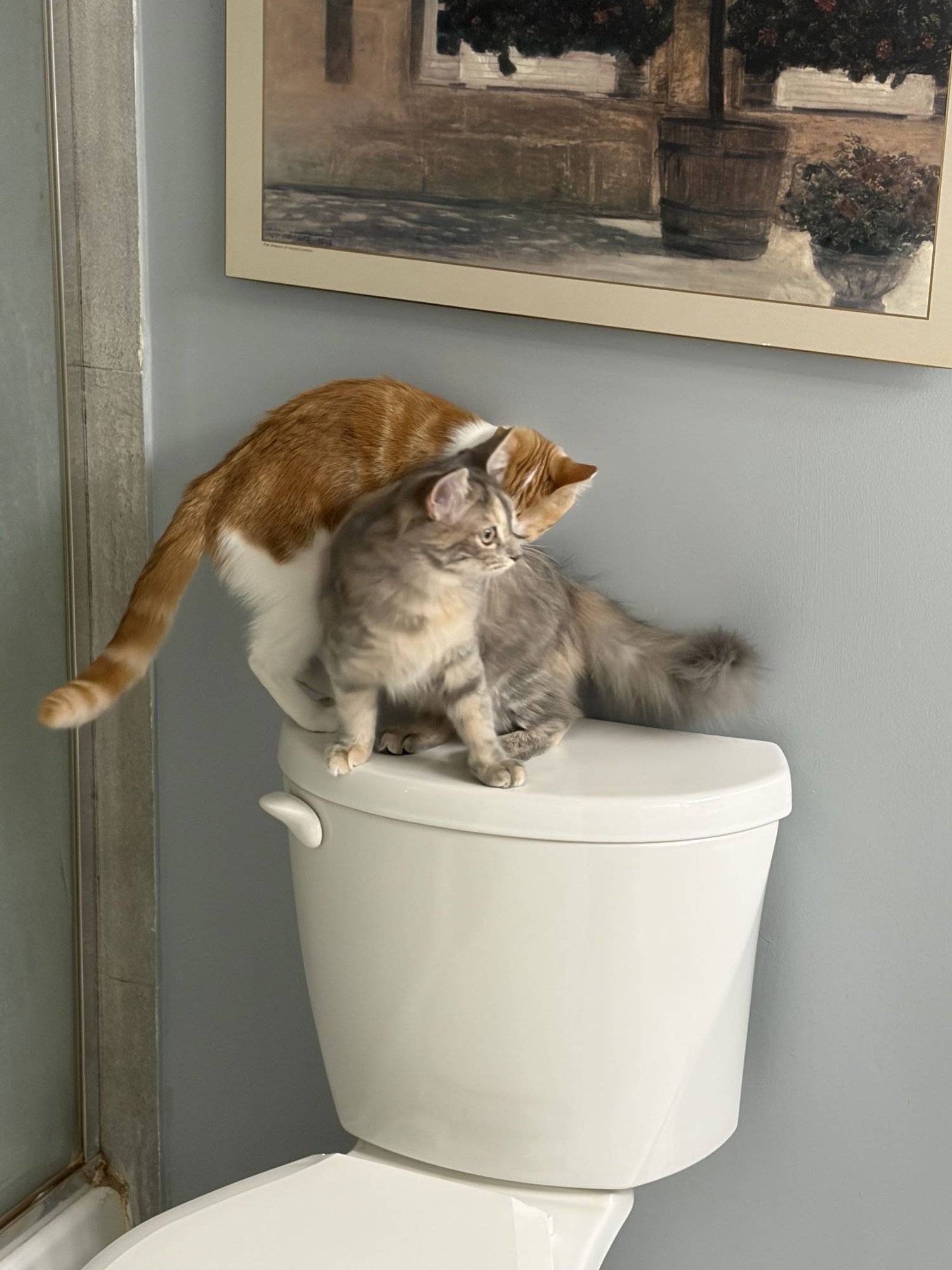 COMING SOON - Delilah - Photo 3